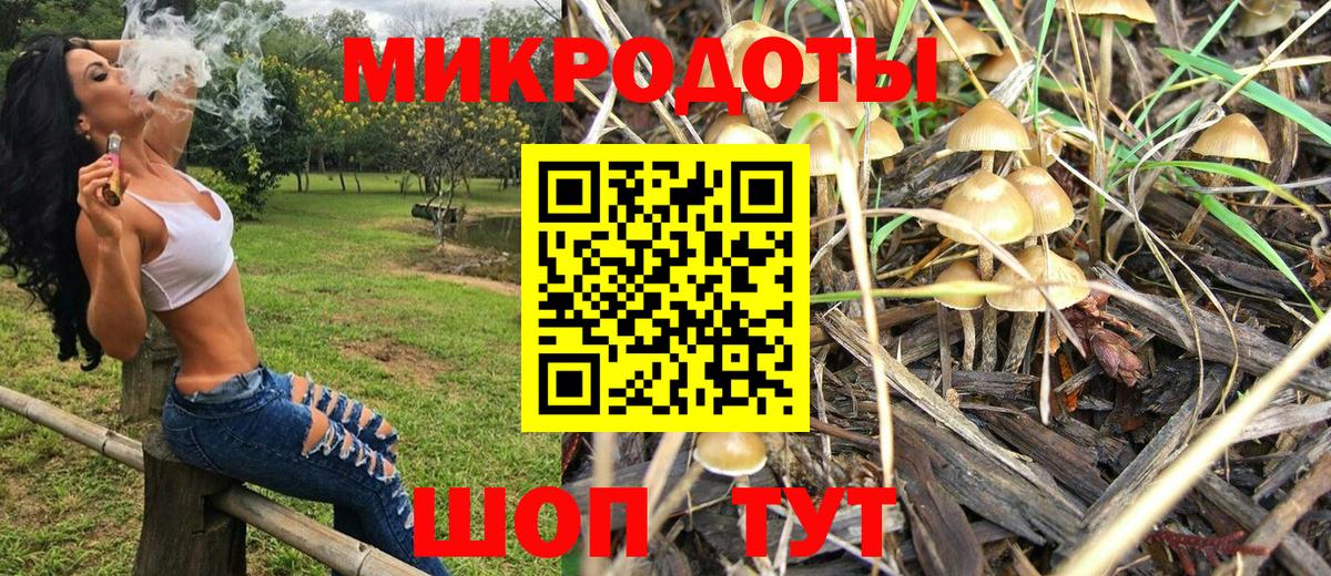 Галлюциногенные грибы ЛСД Заволжье