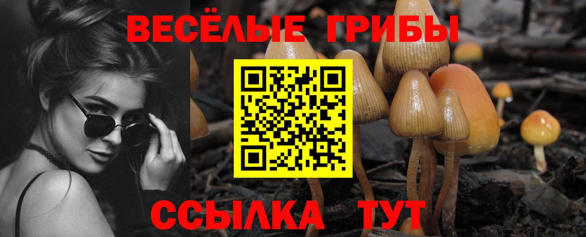 Заволжье  Псилоцибиновые грибы GOLDEN TEACHER  Вход с VPN 