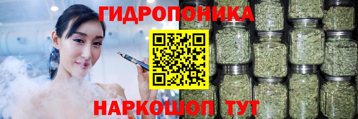 Бошки марихуана гибрид Заволжье